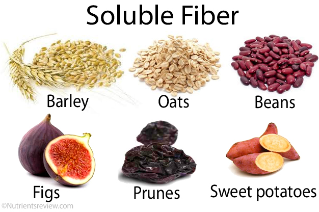 Soluble Dietary Fiber