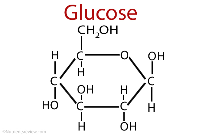 A Monosaccharide Glucose: Foods, Absorption, Function, Health Effects