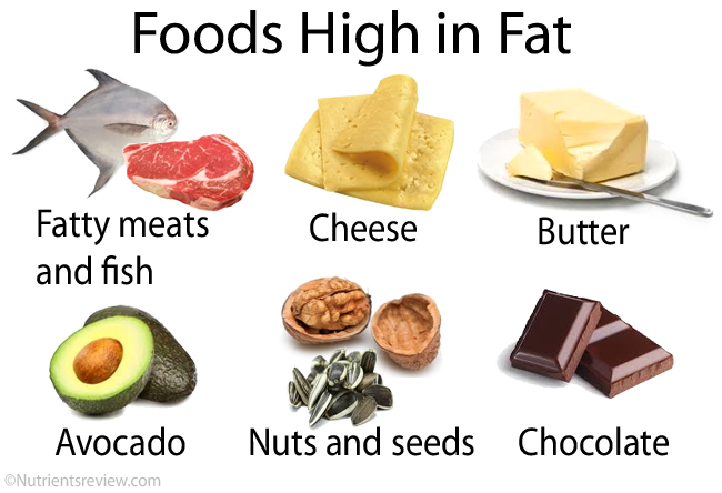 10 Percent Fat Diet