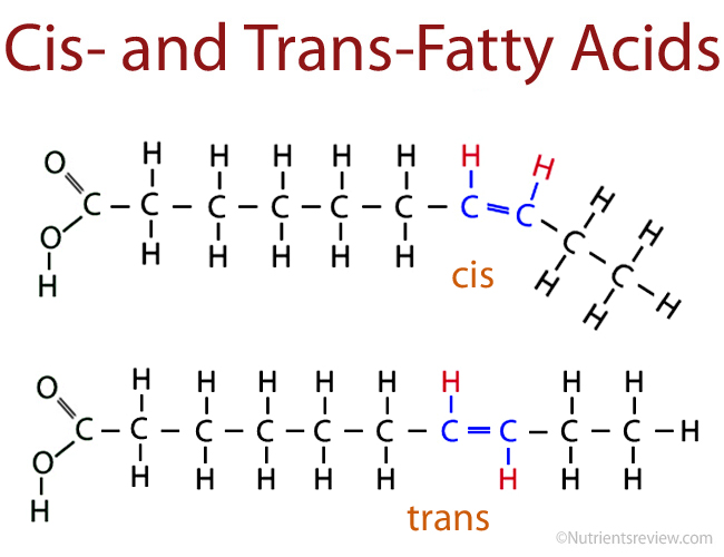 Fatty Acids Chemical Structure Of A Fatty Acid