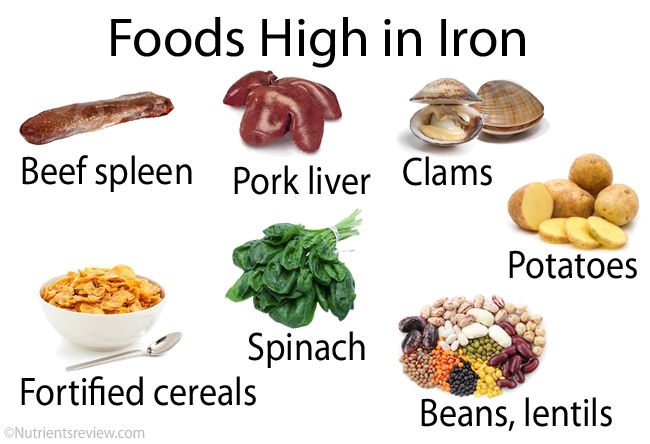 iron food chart