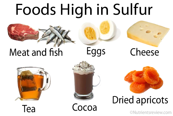 Sulfur Burps: Why Your Burps Smell Like Rotten Eggs