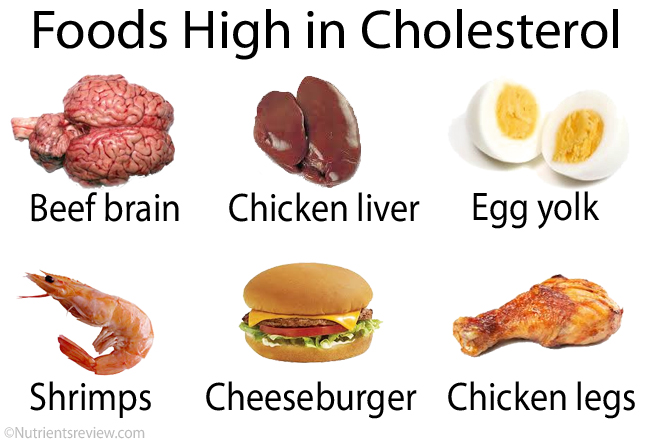 Cholesterol Functions Foods High Low Charts LDL HDL Total